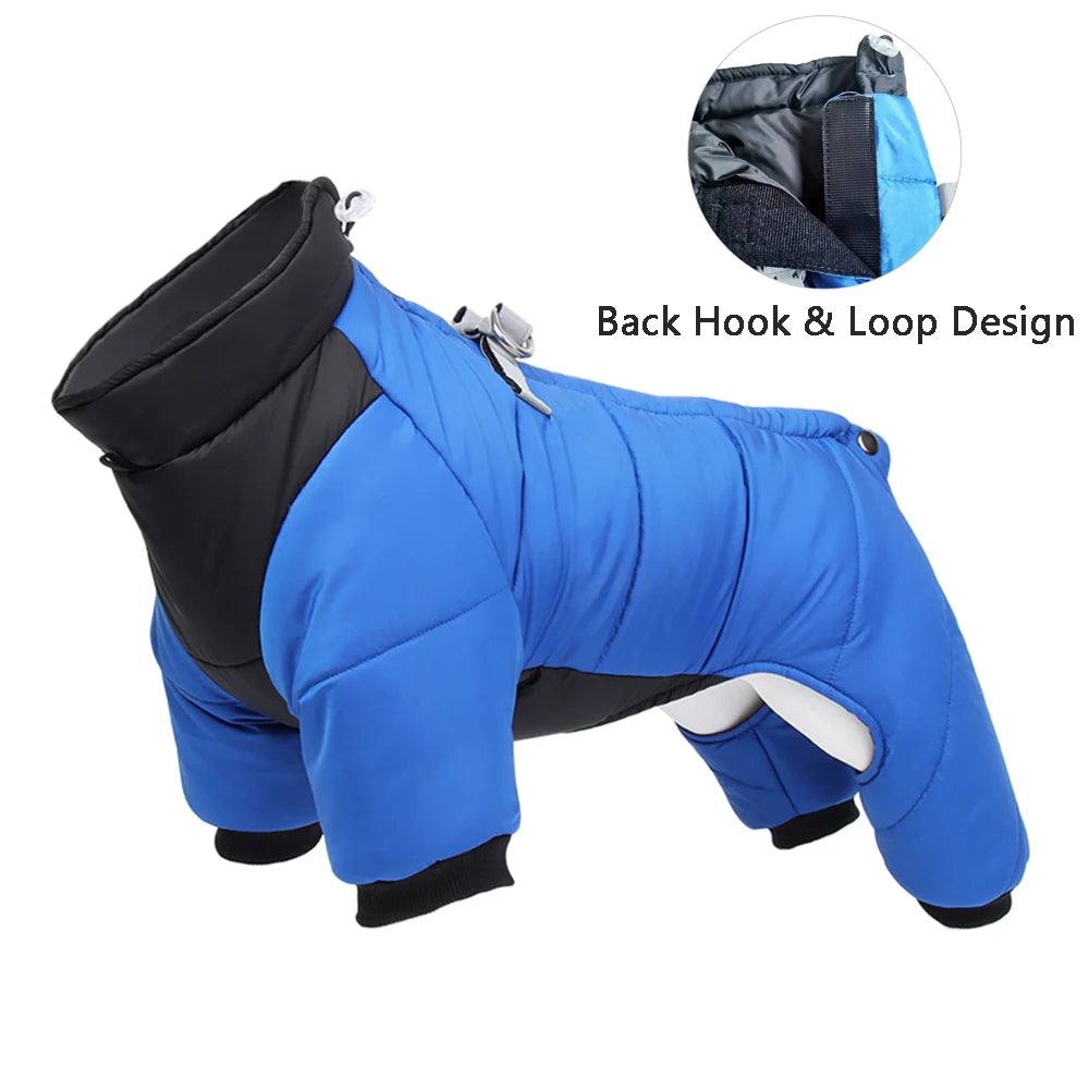 Dog jacket