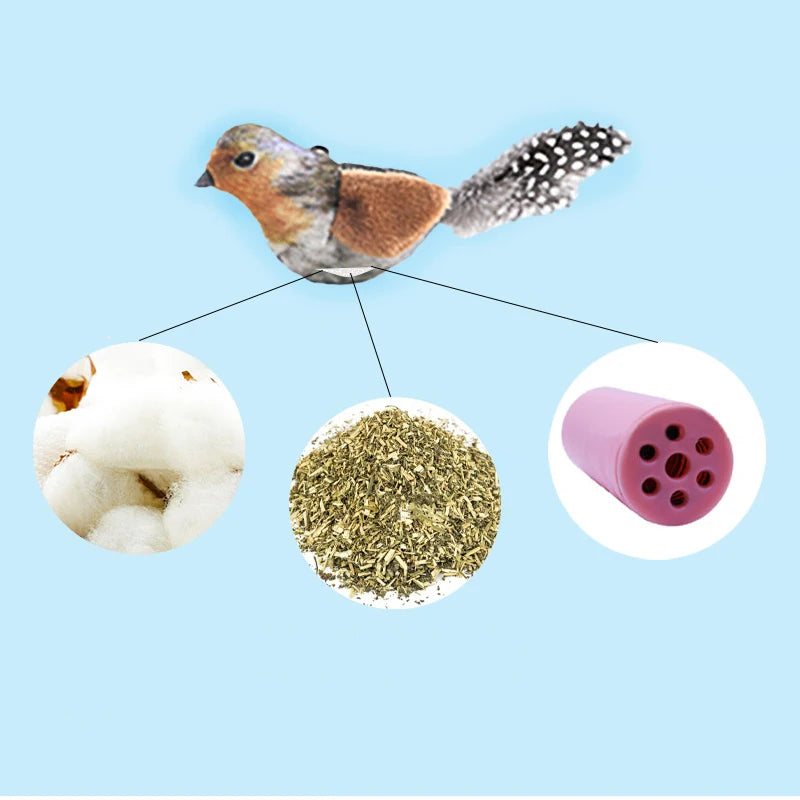 BirdyTease