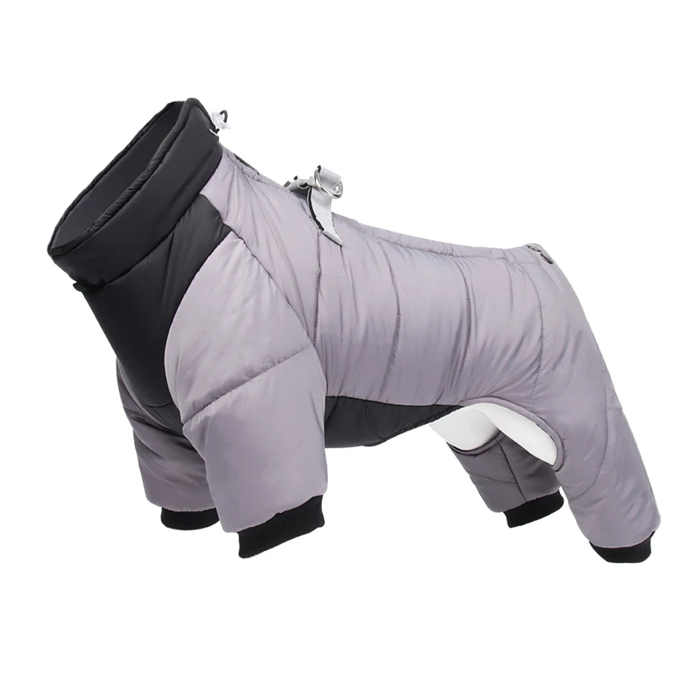 Dog jacket