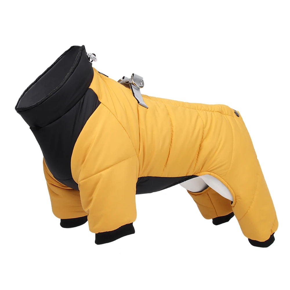 Dog jacket