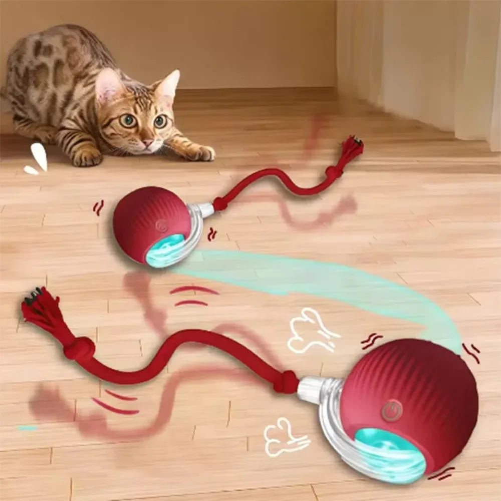 AutoChase Toy