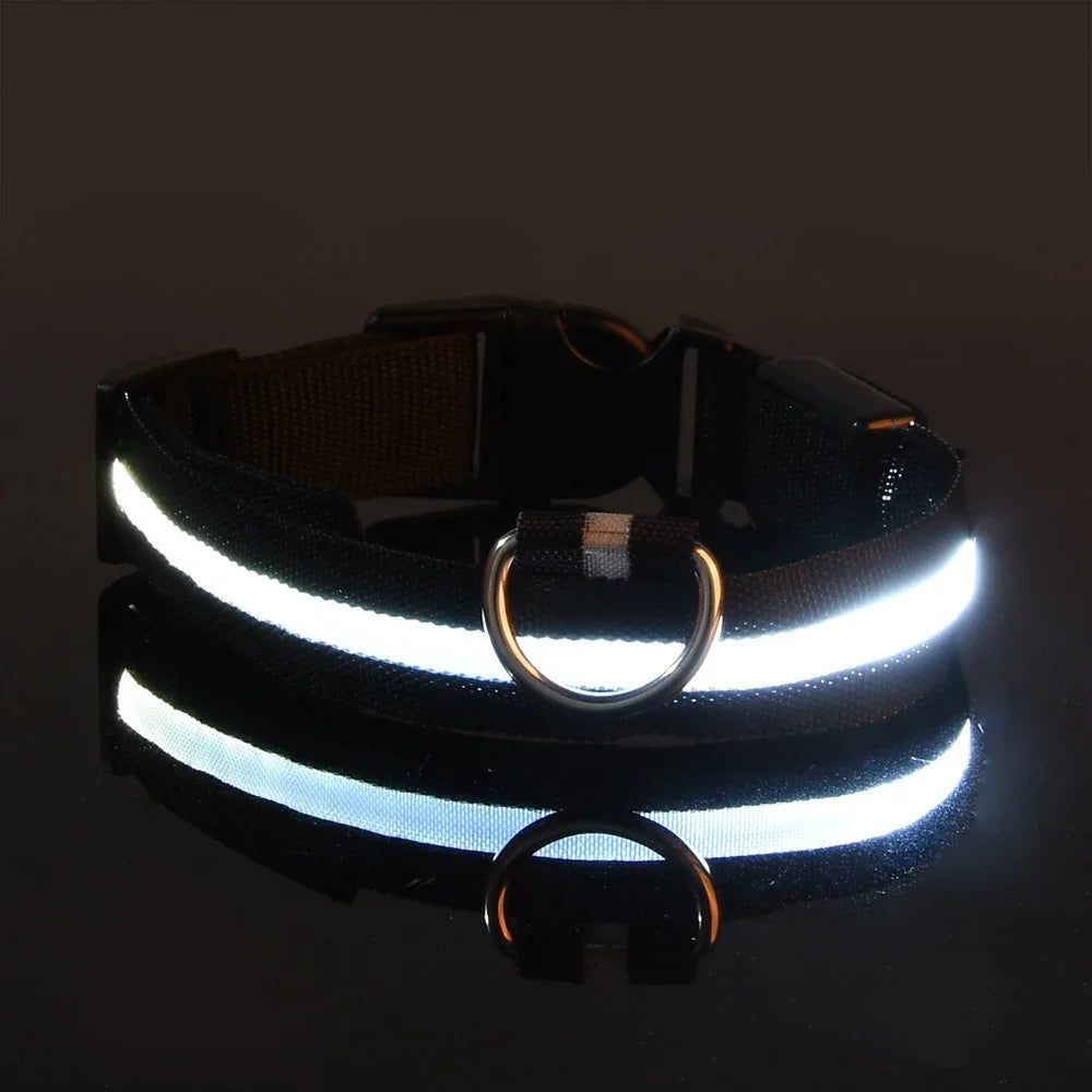 GlowLeash