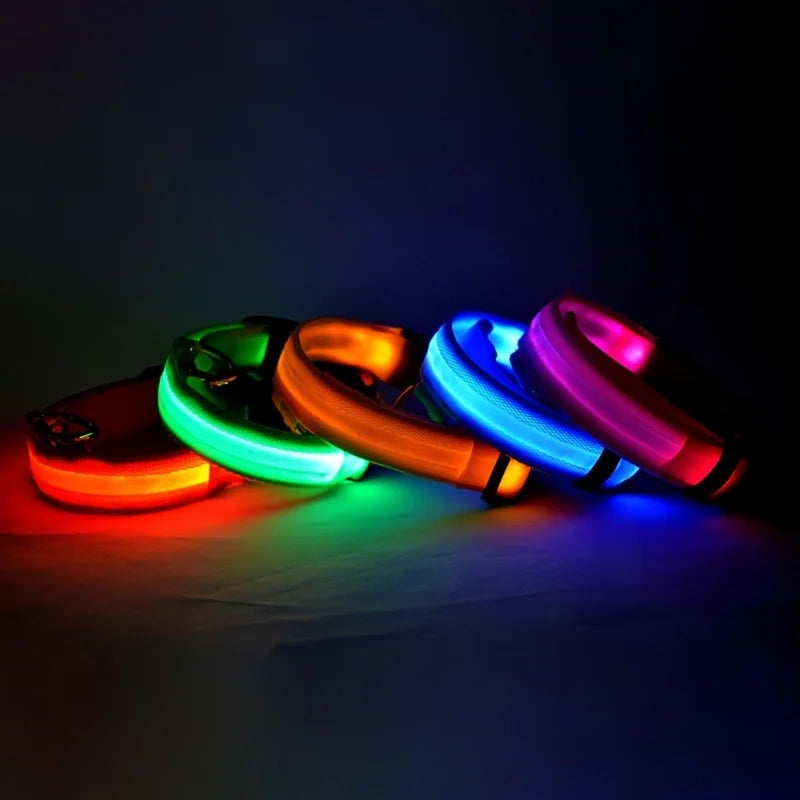 GlowLeash