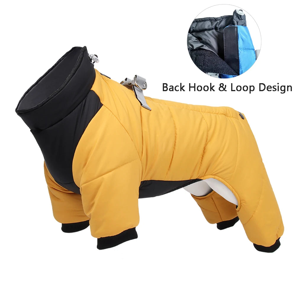 Dog jacket