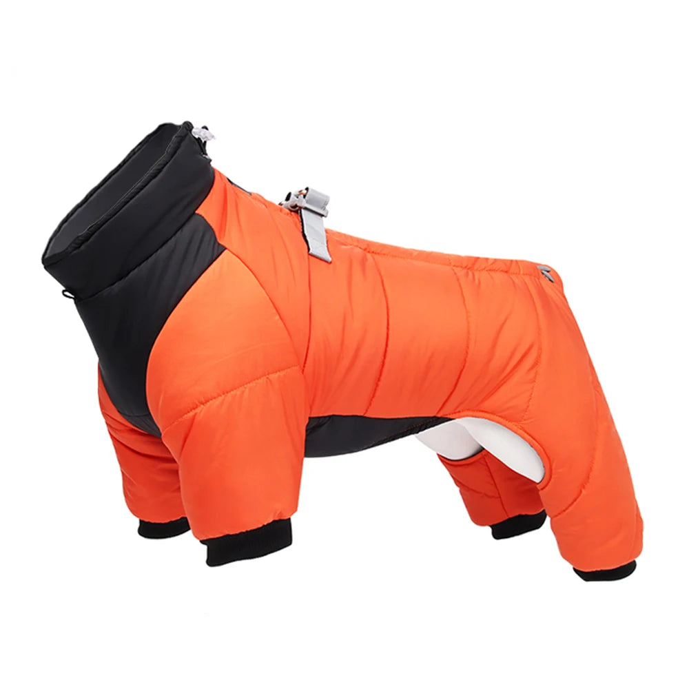 Dog jacket
