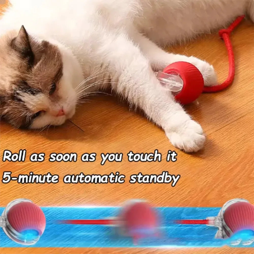 AutoChase Toy