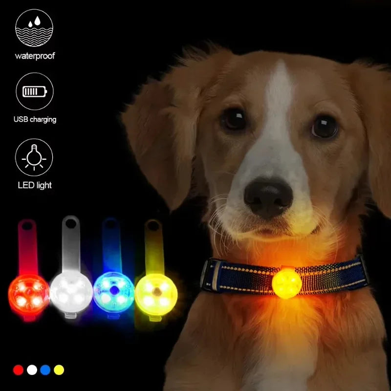 GlowCollar