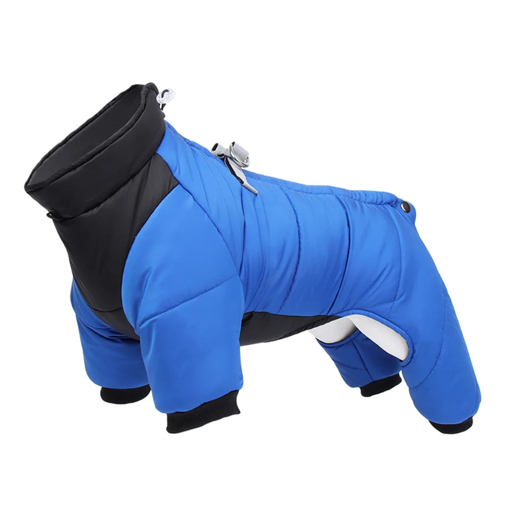 Dog jacket