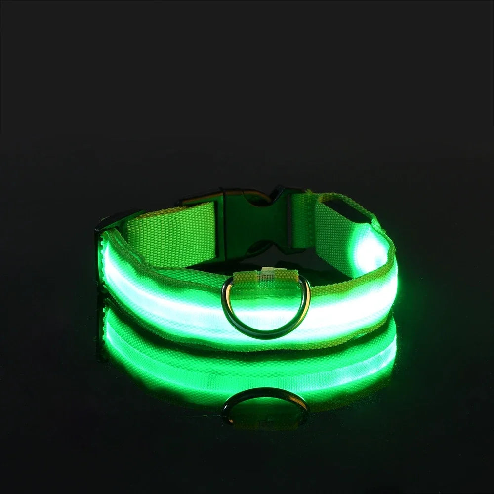 GlowLeash