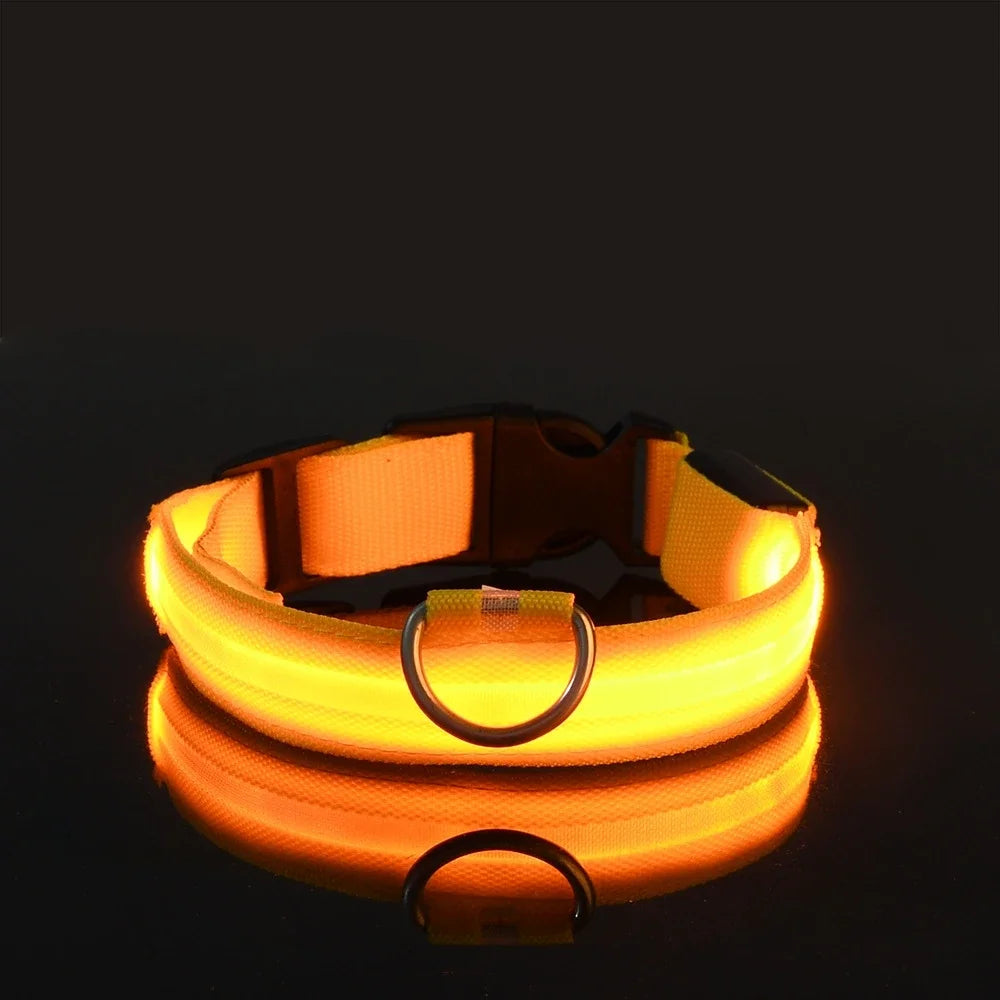 GlowLeash