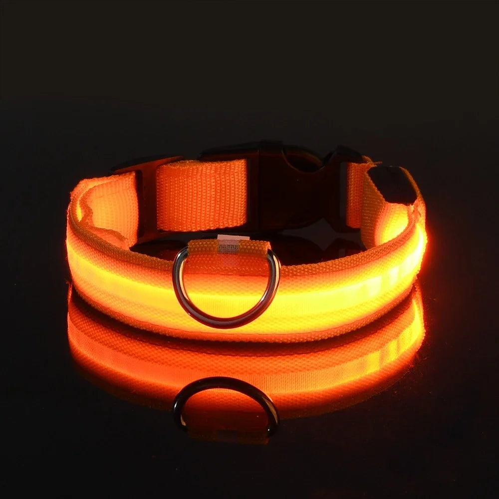 GlowLeash