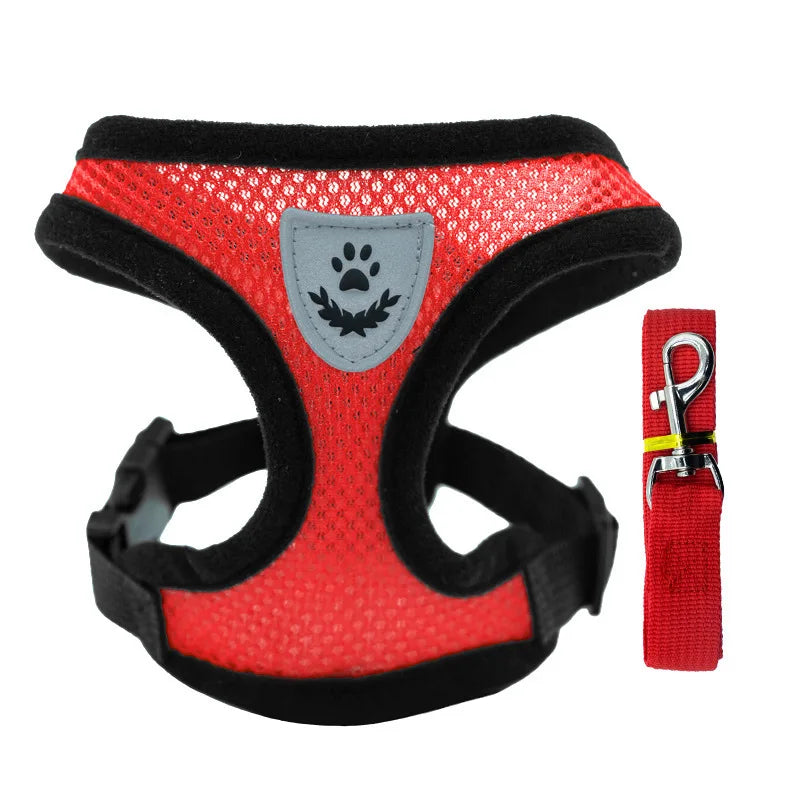 AirFit Harness