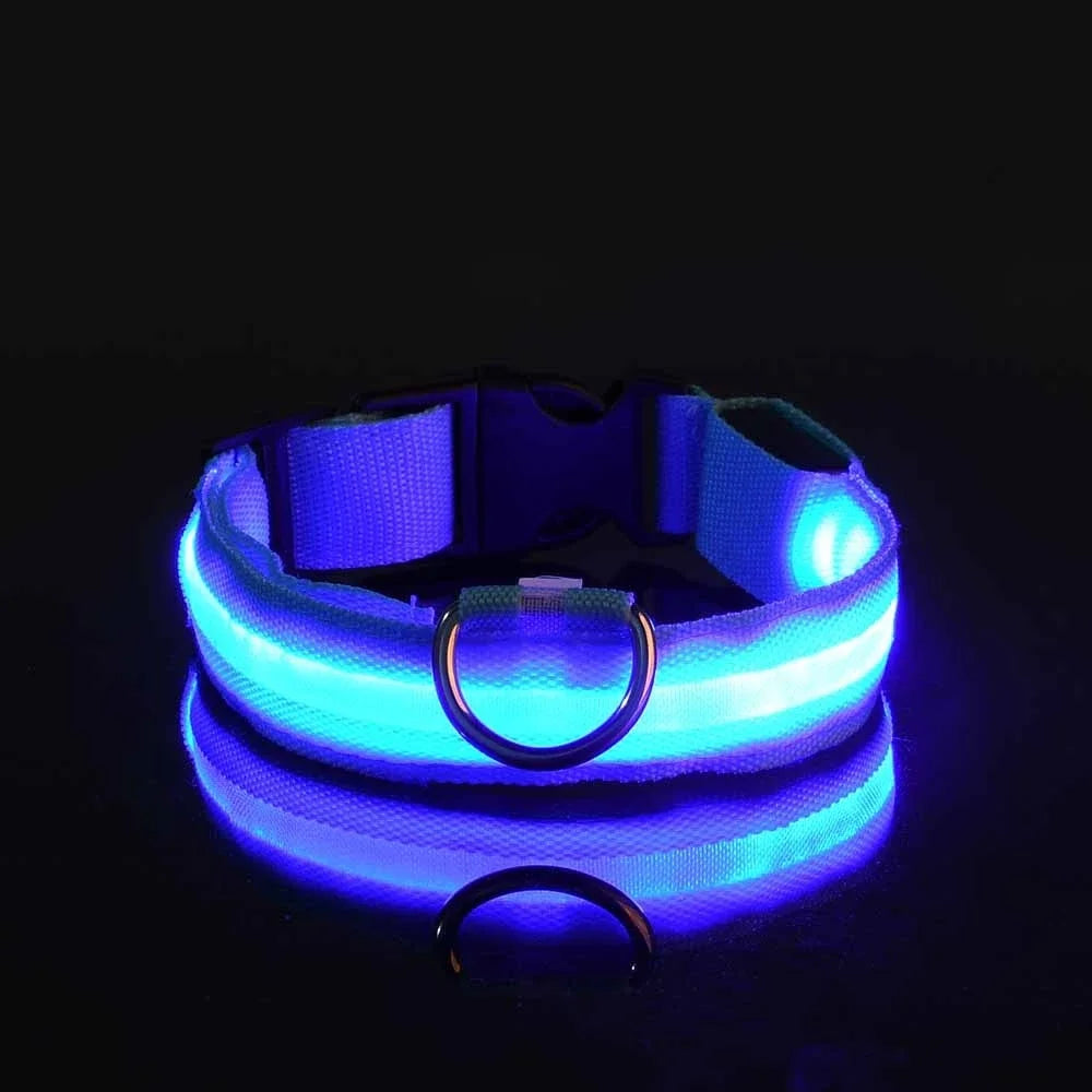 GlowLeash