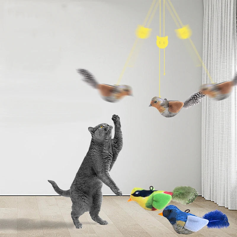 BirdyTease