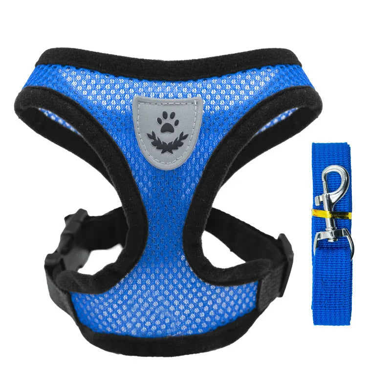 AirFit Harness