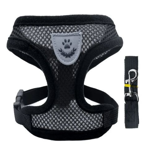 AirFit Harness