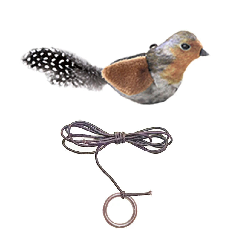 BirdyTease