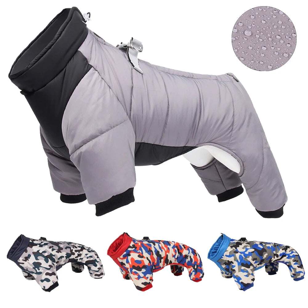 Dog jacket