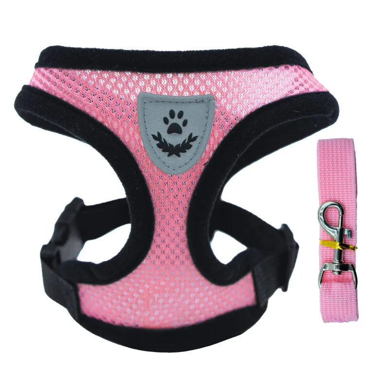 AirFit Harness