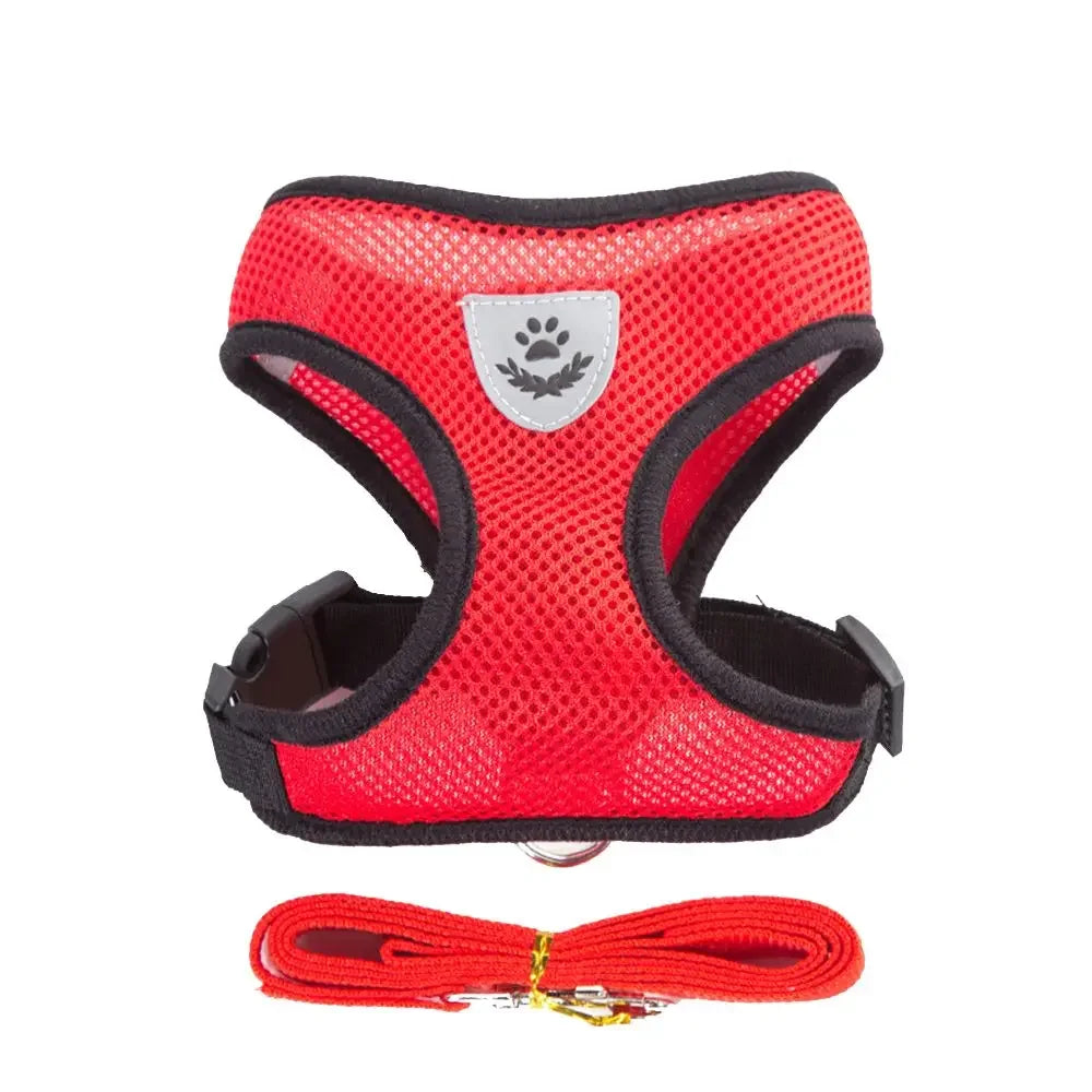 AirFit Harness
