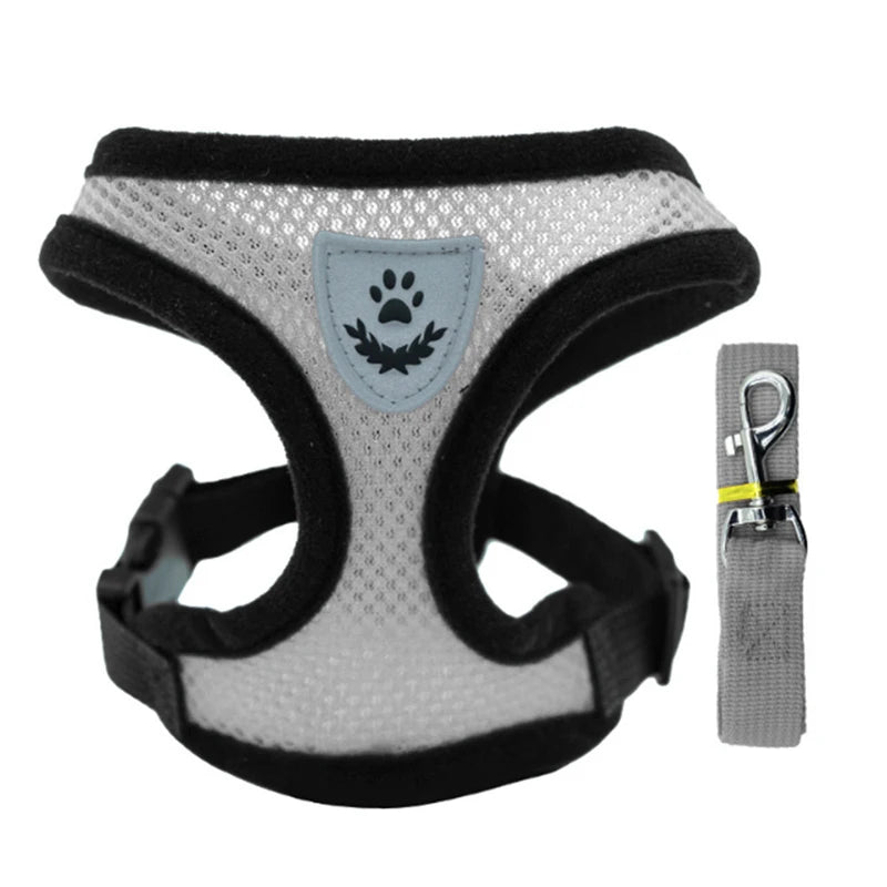 AirFit Harness