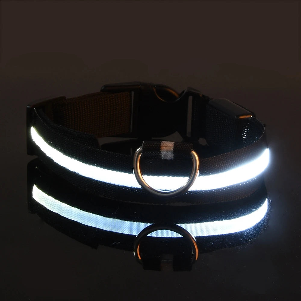GlowLeash