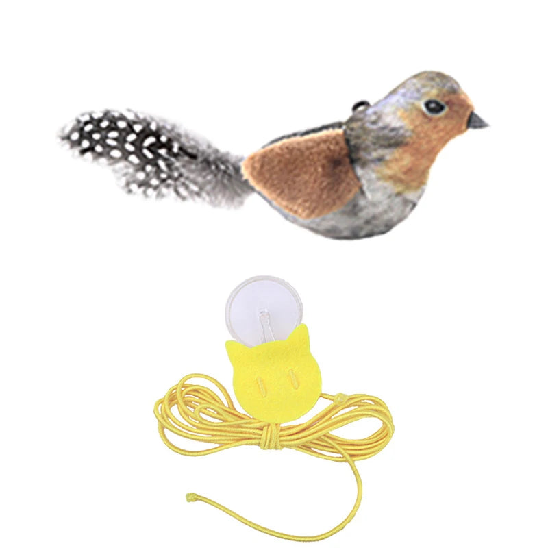 BirdyTease