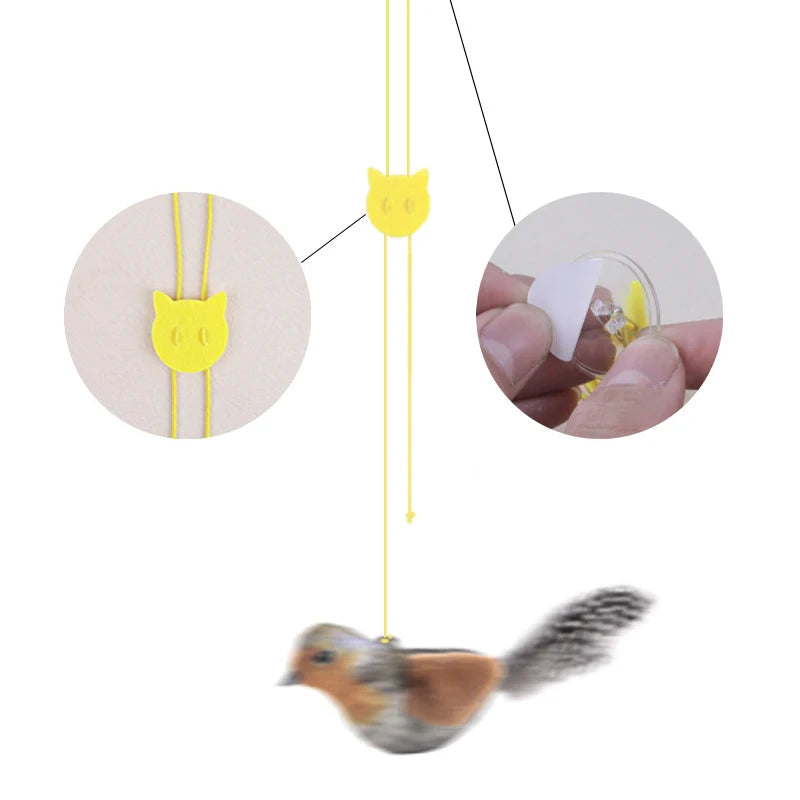 BirdyTease