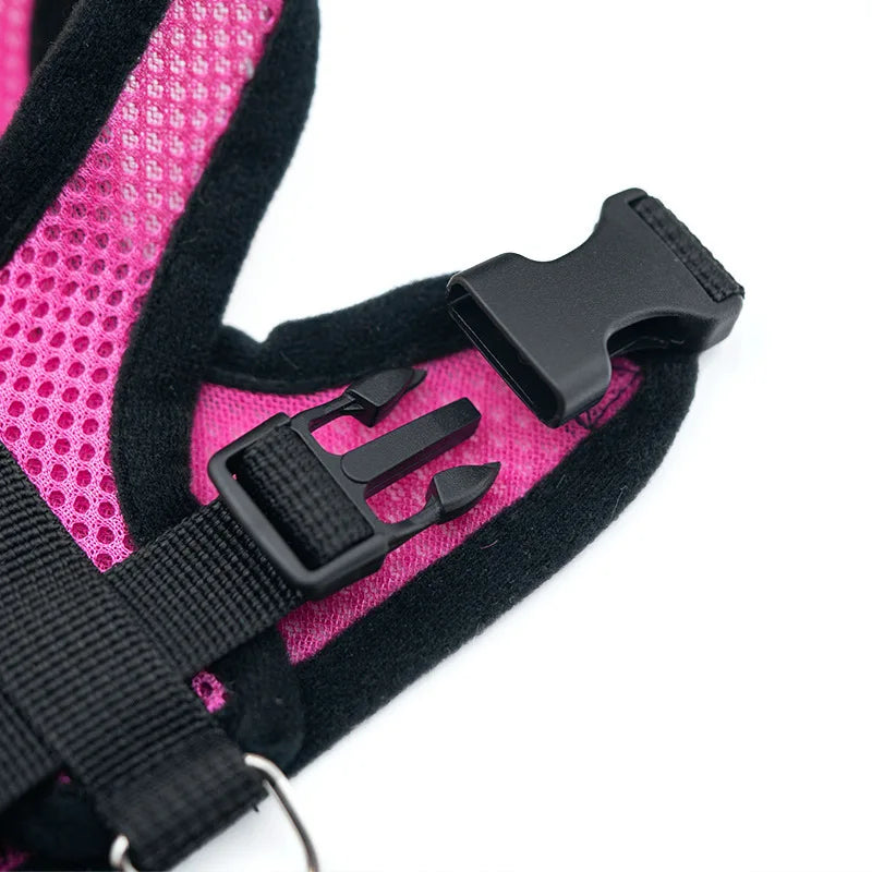 AirFit Harness