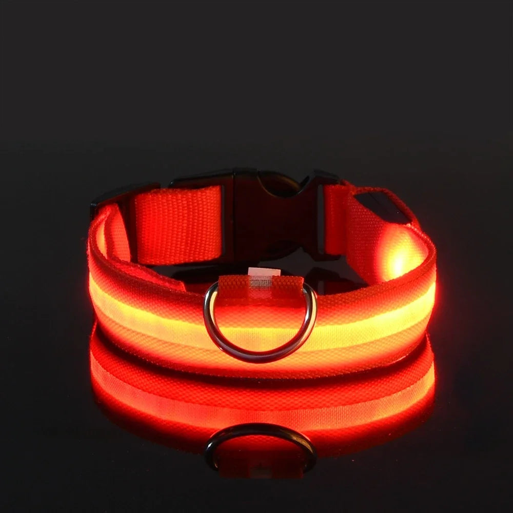 GlowLeash