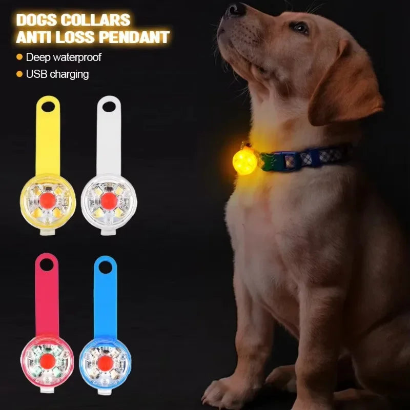 GlowCollar