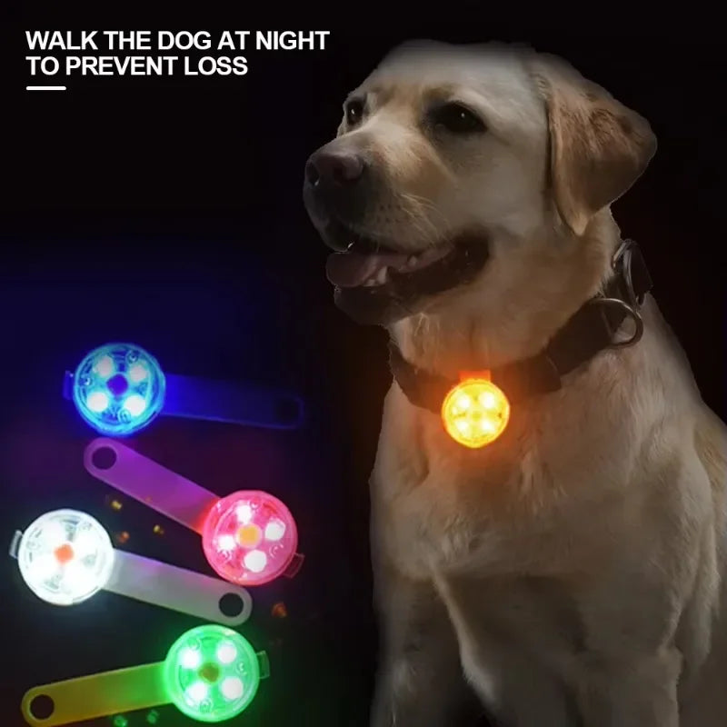 GlowCollar