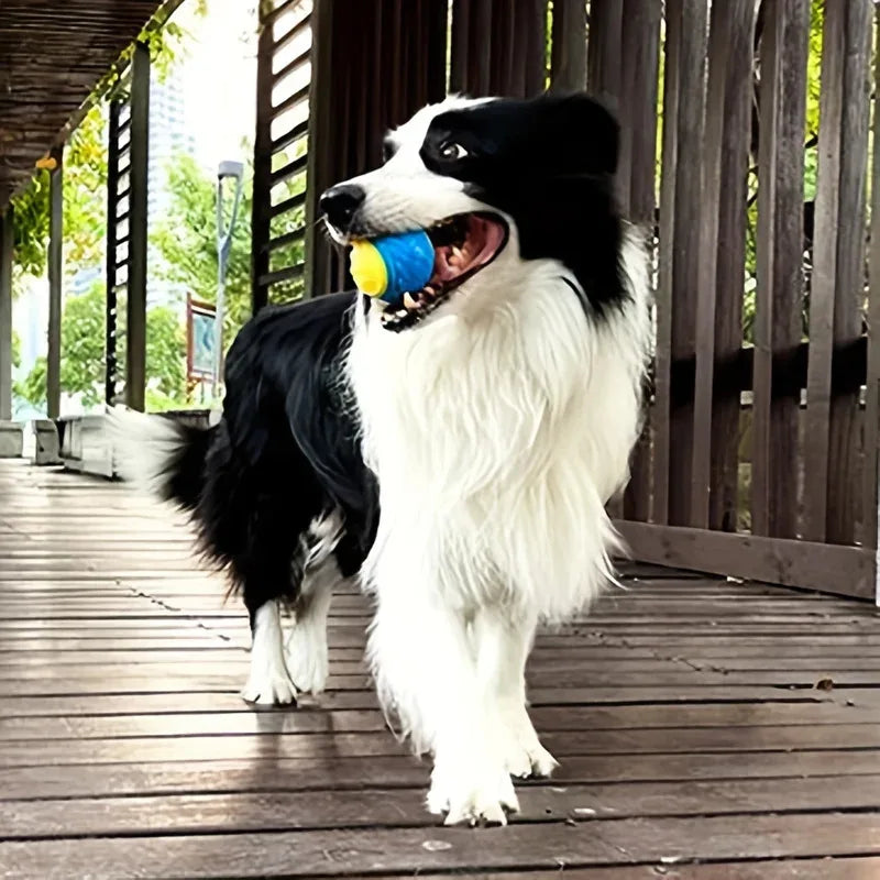 ChewBall