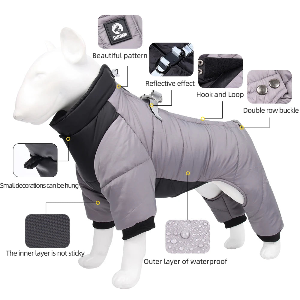 Dog jacket